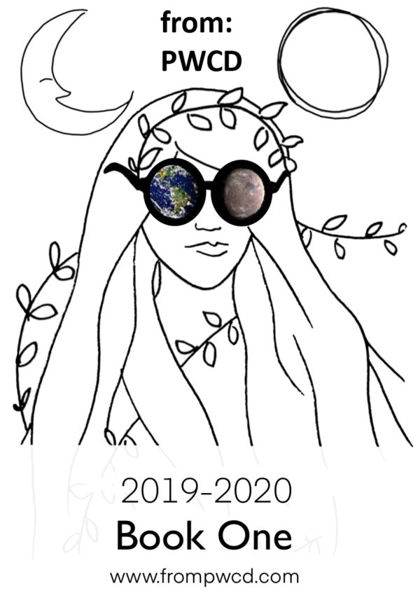 Illustration of girl with planets in her sunglasses. LDP Bookstore - reproductive politics - LDP Bookstore Downloads.